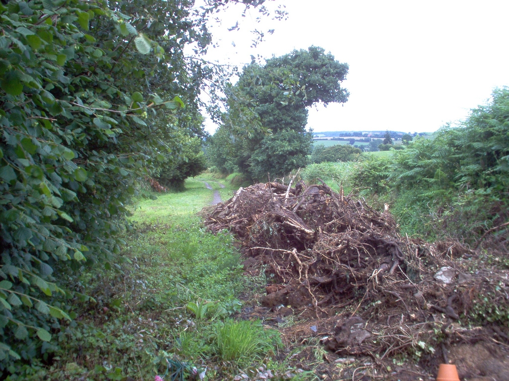 20110000 LA PAVÉE Pont-Farcy 10.jpg - IM000270.JPG